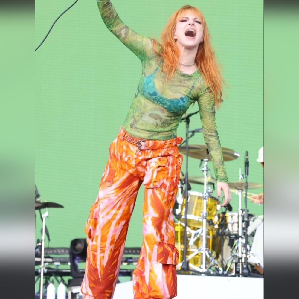 Paramore hayley williams Collina strada cargo pants RARE